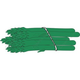 Fresh Asparagus