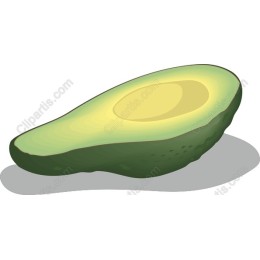 Fresh Avocado