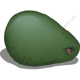 Fresh Avocado