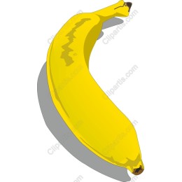 Vibrant Banana