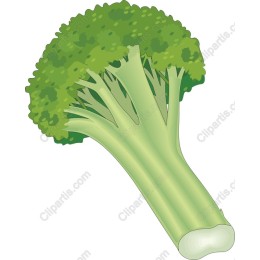 Vibrant Broccoli