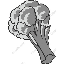 Premium Broccoli