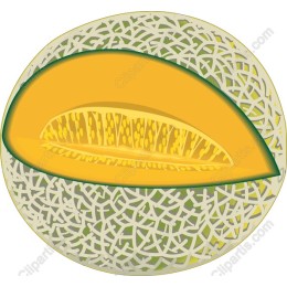 Cantaloupe Slice