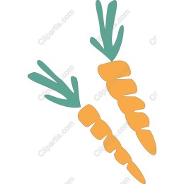 Vibrant Carrot
