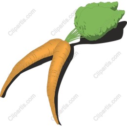 Vibrant Carrot
