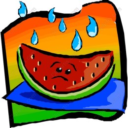 Whimsical Sad Watermelon