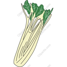 Fresh Celery