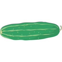 Fresh Cucumber
