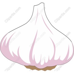 Garlic Bulb