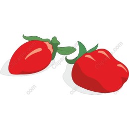 Vibrant Tomato