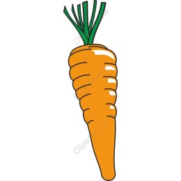 Vibrant Carrot