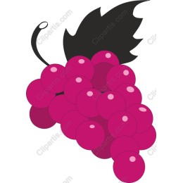 Vibrant Grapes