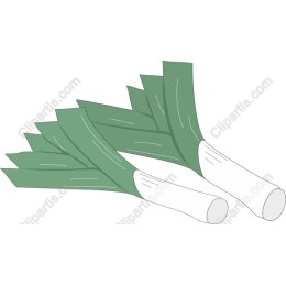 Fresh Leek