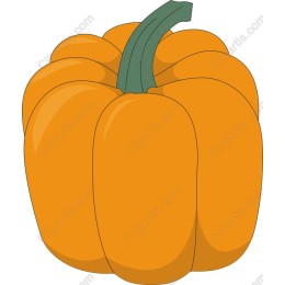 Vibrant Orange Bell Pepper