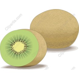 Vibrant Kiwi