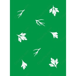 Nature's Touch: Leaf
