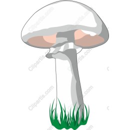 Elegant Nature-Inspired Mushroom