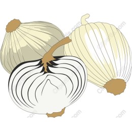 Garlic Bulbs