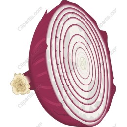 Sliced Red Onions