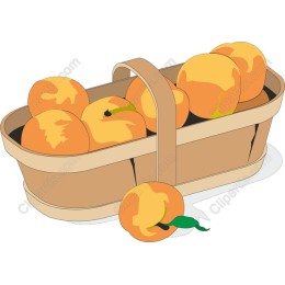 Fresh Peach Basket