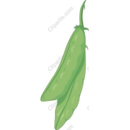 Fresh Green Peas