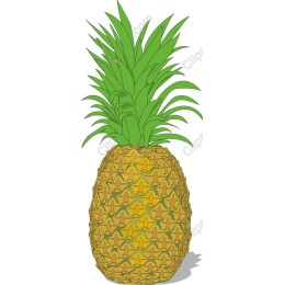 Tropical Pineapple