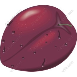 Ripe Plum