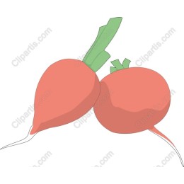 Radiant Radishes
