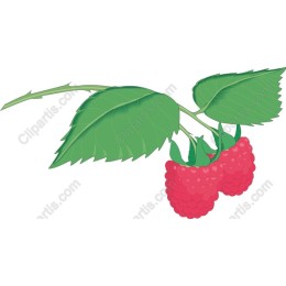 Luscious Raspberry