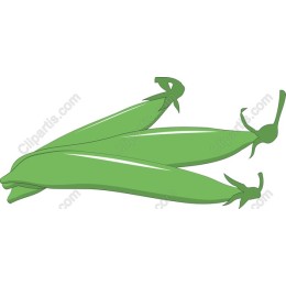 Fresh Green Peas