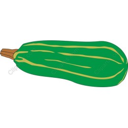 Vibrant Zucchini