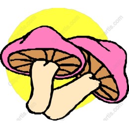 Whimsical Pink Mushroom