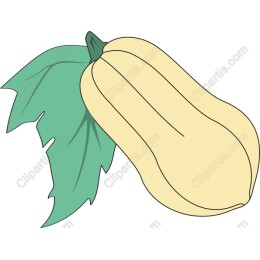 Butternut Squash