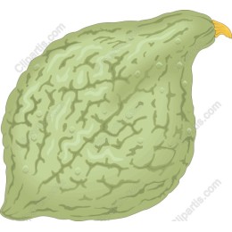 Textured Green Fruit