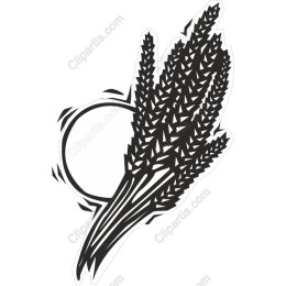 Wheat Art