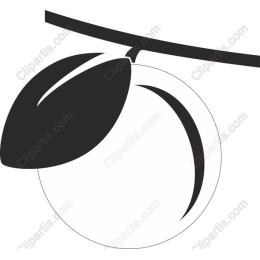 Minimalistic Plum
