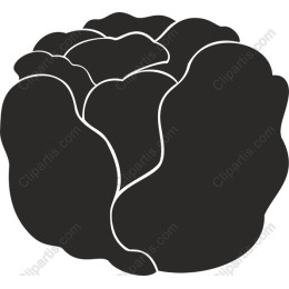 Stylized Lettuce