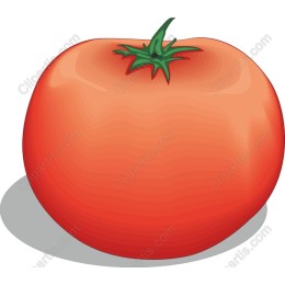 Ripe Tomato