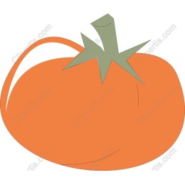 Vibrant Orange Tomato