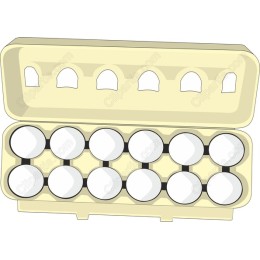 Egg Carton
