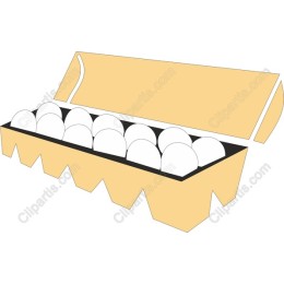 Fresh Egg Carton