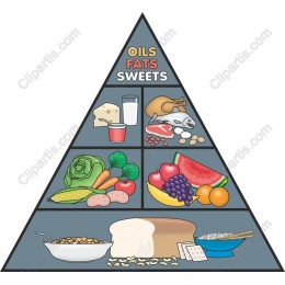 Food Pyramid