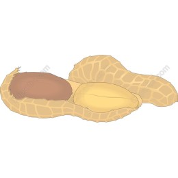 Peanut