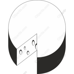Elegant Cheese Wheel