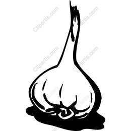 Garlic Bulb