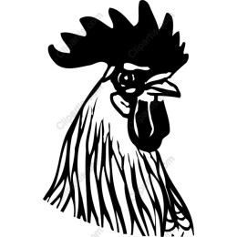 Rooster - and