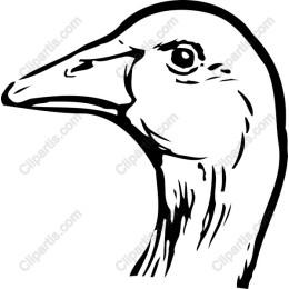 Goose
