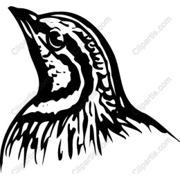 Elegant Bird Head