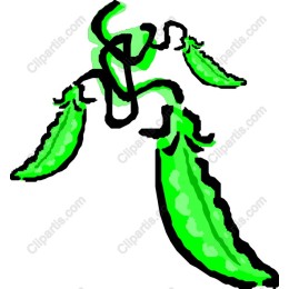 Lively Green Pepper
