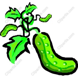 Vibrant Cucumber